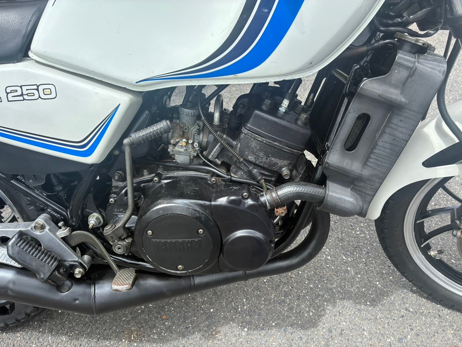 整備された車両の様子
